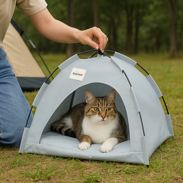 Comfy Pet Hideaway Tent